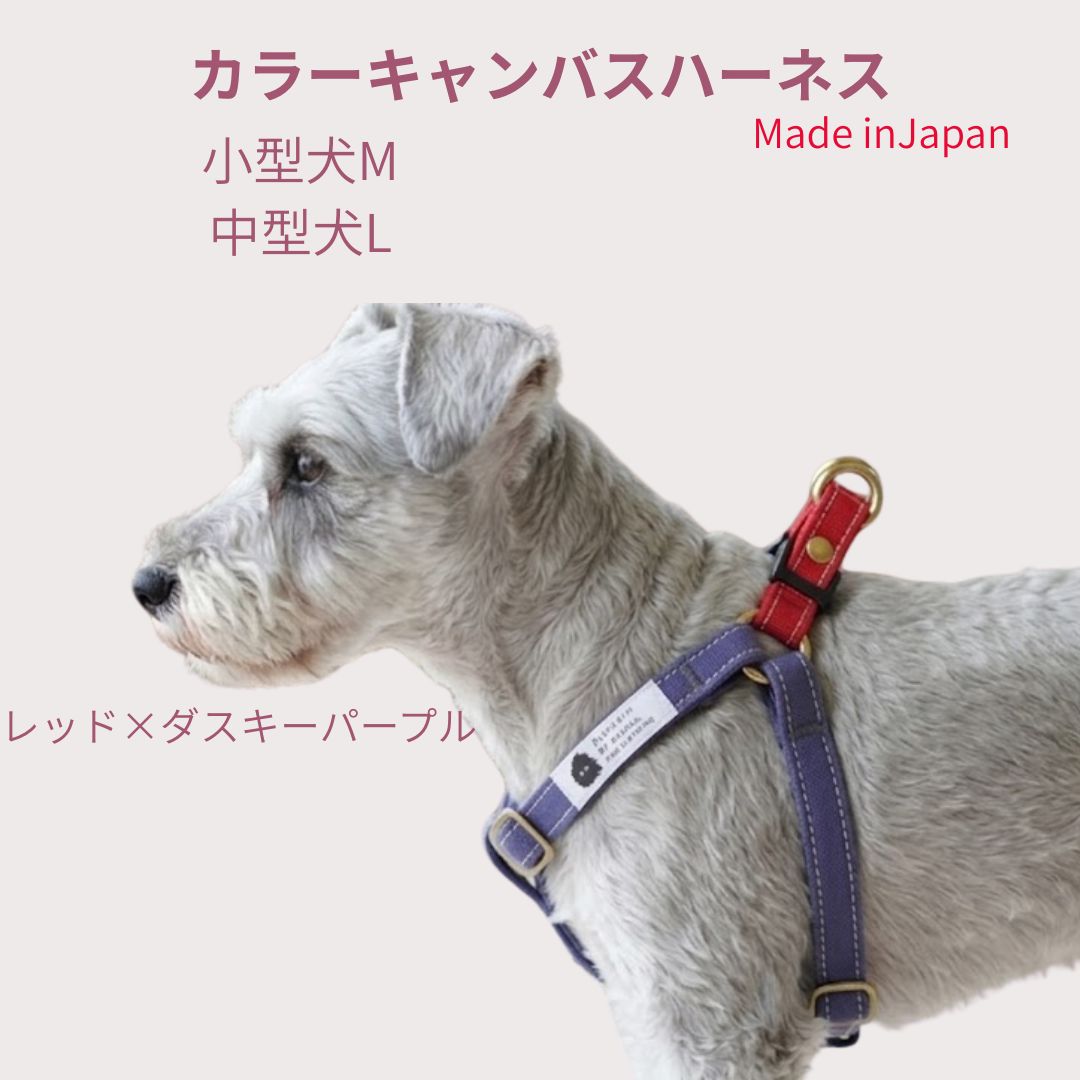 Rakuten - ハーネス 犬 胴輪 小型犬 中型犬 M L 食い込まない 肌に優しい コットン100％ 倉敷製帆布 レッド×ダスキーパープル プレゼント 柴犬 トイプードル コーギー シーズー シュナウザー日本製