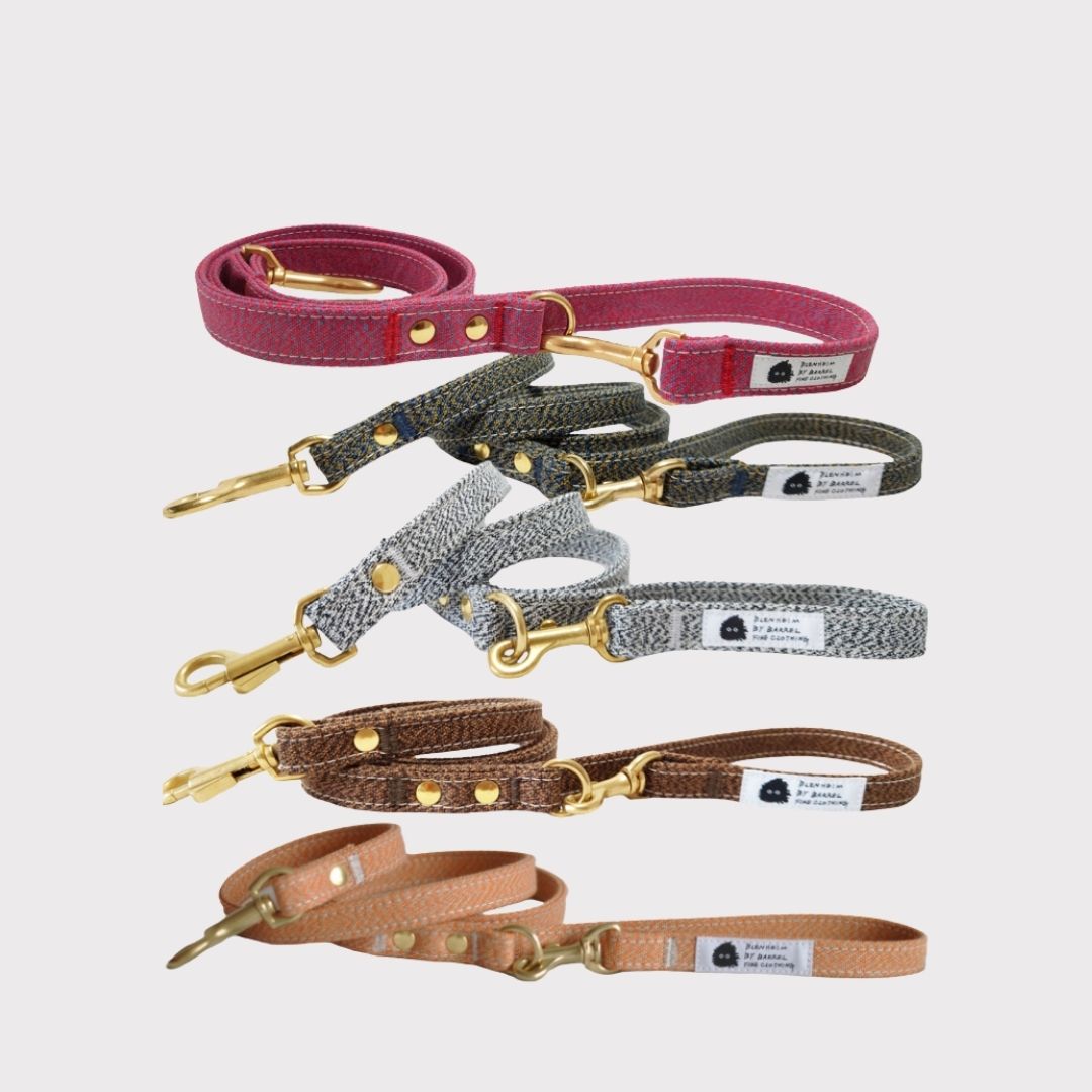 倉敷製帆布 犬 リード 日本製 ミックスキャン...の紹介画像3