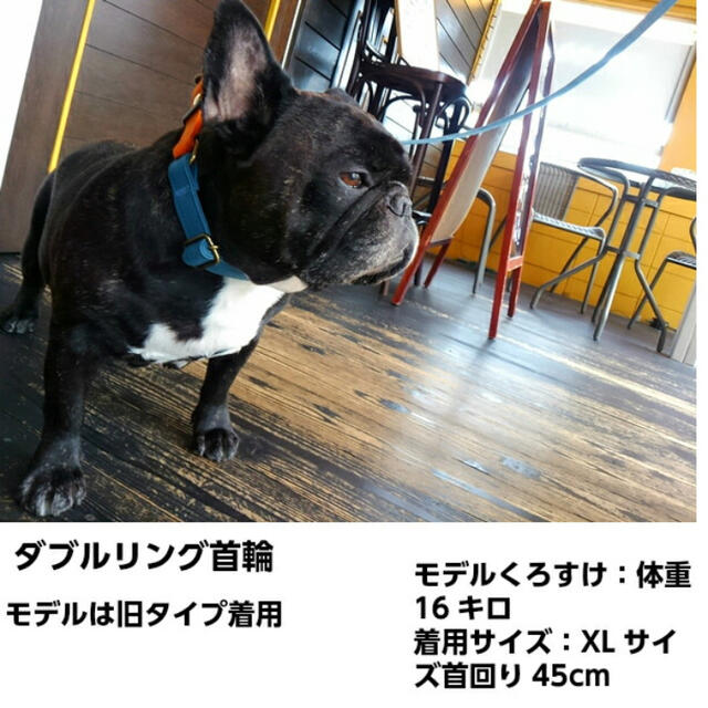 犬首輪大型犬XLダブルリングオレンジtimes;ブルーグレー犬の首輪倉敷帆布BLENHEIM日本製帆布キャンバスバイカラー個性的おしゃれ