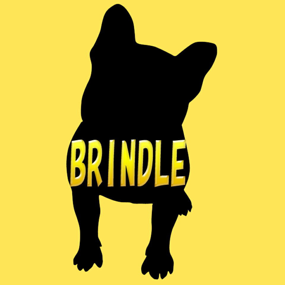 Shop icon