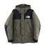 THE NORTH FACE(Ρե) :XS MOUNTAIN DOWN JACKET GORE-TEX ޥƥ󥸥㥱å ƥå ֥饦 ND91930šۡBۡڥ顼֥饦ۡڥ饤꾦ʡ