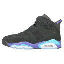 NIKE(iCL) TCY:26.0cm Air Jordan 6 Retro Aqua GAW[_6 g ANA nCJbgXj[J[ ubN~p[v US8/26cmyÁzyxAzyJ[ubNzyIC菤iz