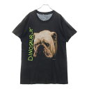 VINTAGE(ヴィンテージ) 90s DINOSAUR Jr 1992 Whatever's Cool with Me DOG TEE ダイナソージュニア フ...