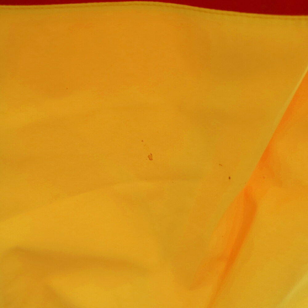 SUPREME(シュプリーム) サイズ:S 17SS ×ザ ノースフェイス トランスアンタークティカ エクスペディション ナイロンパンツ ゴアテックス NP01702I【中古】【程度B】【カラーイエロー】【取扱店舗WASTE_NOT名古屋店】