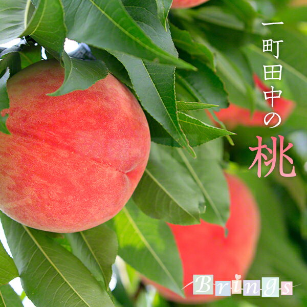 Rakuten - 桃 山梨県産 一町田中の桃 約1kg 産地直送