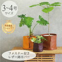 ファスナー付きレザー 鉢カバー 3号 4号 イタリアンレザー 観葉植物 花 フラワーアレンジメント 多肉 エアープランツ グリーン プランターカバー 人気 イン...