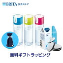 【母の日ギフト】期間限定 公式 浄水器のブリタ ボトル型浄水器 フィル&ゴー 浄水部容量0.6L＋カートリッジ3個付 水筒 浄水ボトル 携帯浄水器 おしゃれ 送料無料 便利グッズ