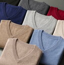 カシミヤ 100% セーター メンズ Vネック S〜3L プレゼント メンズセーター ニット トップス カシミヤ100% カシミア 男性 父の日 彼氏 夫 学生...