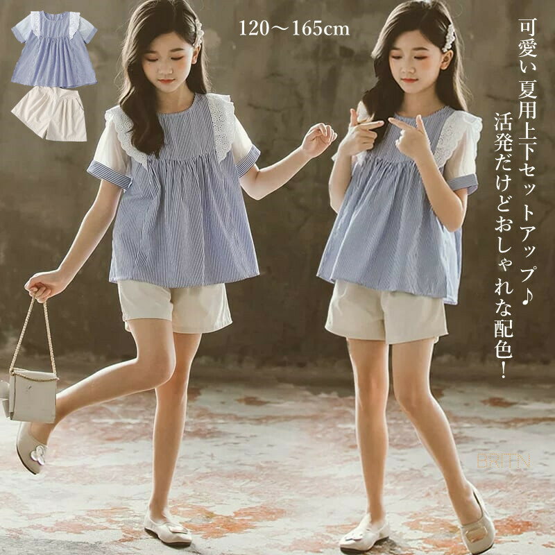 シャツ ブラウス ストライプ レース柄 子ども トップス レッスン 半袖 女の子 キッズ ジュニア 