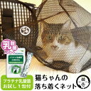 猫 ねこ 猫壱 防災 ネット 袋 保護 病院 爪切り 災害 乳酸菌 サプリ プラチナ乳酸菌 腸活 免疫調整 健康サポート送料無料 口内環境 腸活 免疫調整 皮毛向上 平型 その1