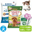 犬 ボディケア シャンプー タオル 介護 アース・ペット アレルウォッシュ うるおい コラーゲン ヒアルロン酸 プラチナ乳酸菌 免疫力 国産 便秘 整腸 健康食...