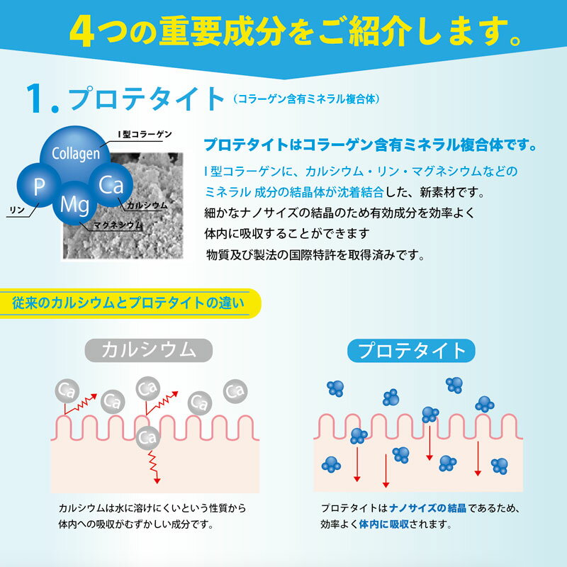 �������ĥ��� ���ץ���ȥ��륳���ߥ� ����ɥ������� �ץ��ƥ����� �ץ���� ������ 120γ��