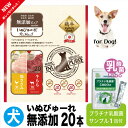 犬 無添加 おやつ いぬぴゅーれ ペロペロ ご褒美 乳酸菌 サプリ送料無料 プラチナ乳酸菌 濃縮乳酸菌 ナノ型乳酸菌 国産 乳酸菌ラボ お腹の健康 免疫調整 口...