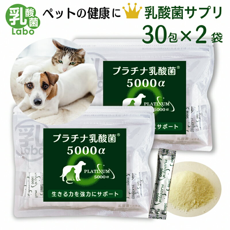 楽天乳酸菌ラボ乳酸菌 サプリ 猫 犬 ペット サプリメント 粉 パウダー 顆粒 送料無料 プラチナ乳酸菌 濃縮乳酸菌 ナノ型乳酸菌 国産 乳酸菌ラボ お腹の健康 免疫調整 口内環境 整腸 腸活 皮毛向上 無添加 アレルギーフリー 30包入×2