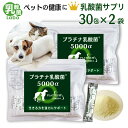 乳酸菌 サプリ 猫 犬 ペット サプリメント 粉 パウダー 顆粒 送料無料 プラチナ乳酸菌 濃縮乳酸菌 ナノ型乳酸菌 国産…