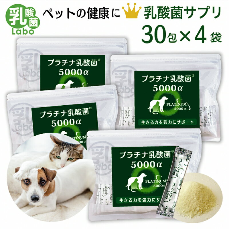 乳酸菌 サプリ 猫 犬 ペット サプリ