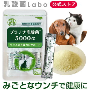 乳酸菌 サプリ 猫 犬 ペット サプリメント 粉 パウダー 顆粒 送料無料 プラチナ乳酸菌 濃縮乳酸菌 ナノ型乳酸菌 国産 乳酸菌ラボ お腹の健康 免疫調整 口内環境 整腸 腸活 皮毛向上 無添加 アレルギーフリー 5包入×1