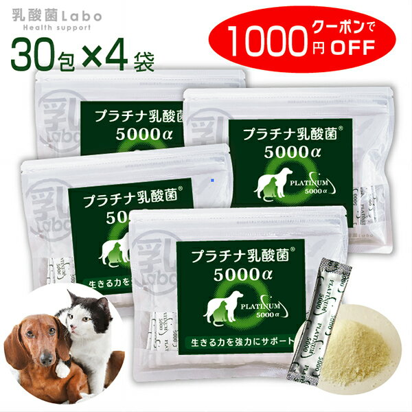 犬 猫 乳酸菌サプリ お得用 プラチナ乳酸菌5000α （顆粒タイプ1袋スティック30包入×4） 国産 猫用 便秘 整腸 サプリメント 猫用腸内環境サプリ 犬用腸内環境サプリ