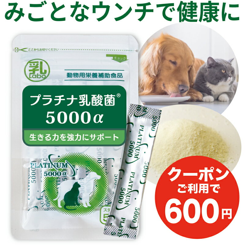 エントリーして300円OFF 犬 乳酸菌 猫 乳酸菌 サプリおやつ ペット サプリメント 粉 顆粒  ...