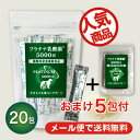 【メール送料無料!】 犬 猫 乳酸菌 サプリメントプラチナ乳...