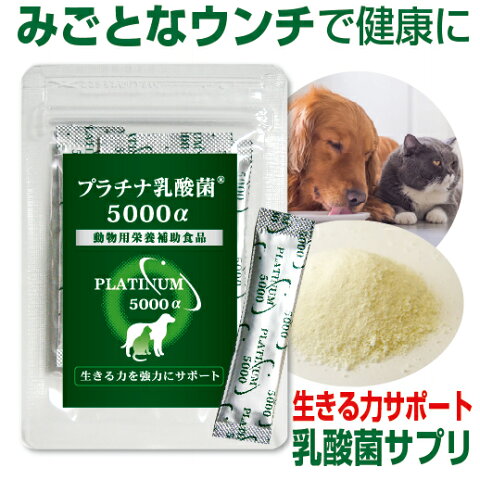 乳酸菌 ペット 健康 免活 サプリ プラチナ乳酸菌 5000α (5包入)動物用サプリメント 栄養補助食品 ペットのサプリ（乳酸菌 犬 乳酸菌 猫 乳酸菌 ペット用 犬用 猫用 ドッグ用 キャット用）