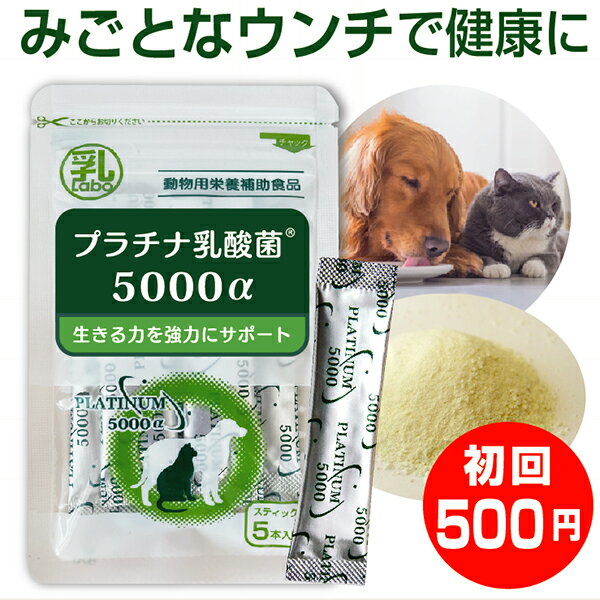 乳酸菌 ペット サプリ 犬 猫用 プラチナ乳酸菌5000α 初回限定