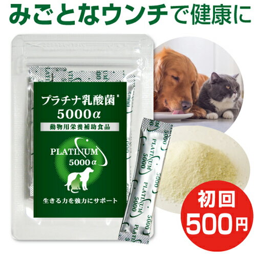 乳酸菌 ペット サプリ プラチナ乳酸菌5000α（初回お試し500円 ご家族様2コまで）動物用サプリメント 栄養補助食品 ペットのサプリ（乳酸菌 犬 乳酸菌 猫 乳酸菌 ペット用 犬用 猫用 ドッグ用 キャット用）