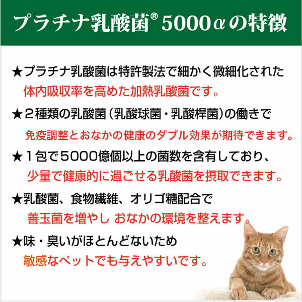 犬 猫 乳酸菌サプリ お得用 プラチナ乳酸菌5000α 顆粒タイプ1袋スティック30包入×4 国産 猫用 便秘 サプリメント 猫用腸内環境サプリ 犬用腸内環境サプリ