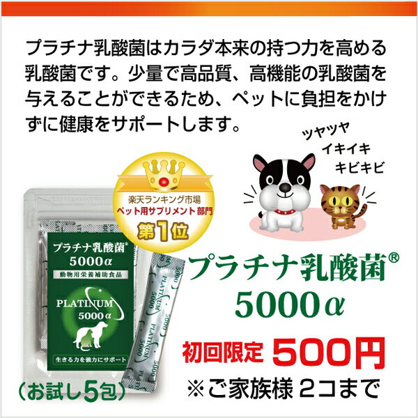 免活 お得用ペット ペットグッズ お得用 乳酸菌ラボペットサプリメント 猫用サプリメント 乳酸菌 プラチナ乳酸菌5000a 50包 2 ペット 健康 犬 ペット サプリ サプリ ペット 乳酸菌 犬用乳酸菌 猫用乳酸菌