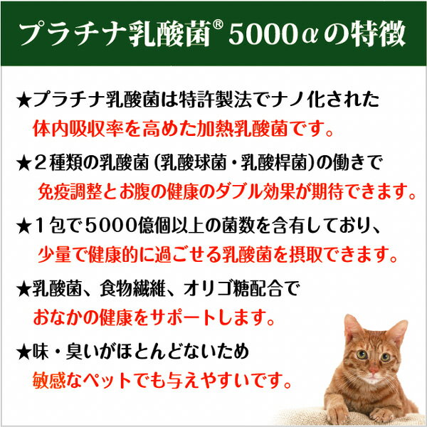 乳酸菌 サプリ 猫 犬 ペット サプリメント 粉 パウダー 顆粒 送料無料 プラチナ乳酸菌 濃縮乳酸菌 ナノ型乳酸菌 国産 乳酸菌ラボ お腹の健康 免疫調整 口内環境 整腸 腸活 皮毛向上 無添加 アレルギーフリー 30包入×2 3