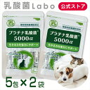 ペットサプリ 犬 猫 プラチナ乳酸菌 5000α (5包入2