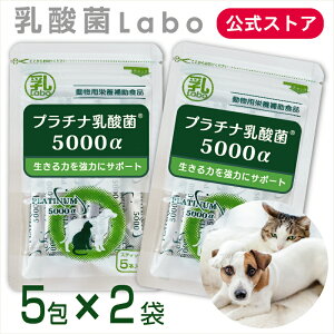 乳酸菌 サプリ 猫 犬 ペット サプリメント 粉 パウダー 顆粒 送料無料 プラチナ乳酸菌 濃縮乳酸菌 ナノ型乳酸菌 国産 乳酸菌ラボ お腹の健康 免疫調整 口内環境 整腸 腸活 皮毛向上 無添加 アレルギーフリー 5包入×2