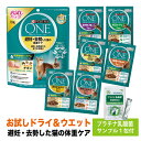 お試しセット 避妊・去勢後 PURINA ONE ピュリナワン 猫 乳酸菌 サプリ おやつ ウエット パウチ プラチナ乳酸菌 腸活 免疫調整 健康サポート送料無料 口内環境 腸活 免疫調整 皮毛向上