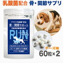 犬用 ペット サプリ 犬 サプリメント 高齢 関節 骨 腰 膝 コラーゲン含有ミネラル複合体 グルコサミン プラチナ乳酸菌 濃縮乳酸菌 ナノ型乳酸菌 国産 口腔 炎症 皮膚 被毛 免疫 腸活 送料無料 60粒×2