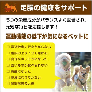 骨関節の健康維持サプリメントRUN(ラン)粉末タイプ30包入×3【ペットサプリグルコサミンコンドロイチンコラーゲン含有ミネラル複合体ビタミンD3プロテタイト】お買得3袋セット/ゆうパケット送料無料