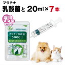 犬 猫 シリンジ 高齢 老犬 老猫 介護 送料無料 スポイト 投薬 給餌 ペット 薬 流動食 針なし 横口 注射器 お水 薬を与える プラチナ乳酸菌 免疫向上 ...