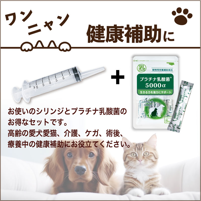 シリンジ ペット用 10ml ×10本 プラチナ乳酸菌 5包 お得セット 送料無料 犬 猫 高...