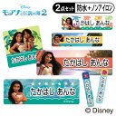 お名前シール タグ用シール モアナと伝説の海2 ディズニー 2点セット 防水 耐水 食洗機 レンジ ノンアイロン 送料無料 PR入園 入学 キャラクター お祝い...