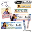 お名前シール タグ用シール ウィッシュ WISH ディズニー 2点セット 防水 耐水 食洗機 レンジ ノンアイロン 送料無料 PR入園 入学 キャラクター お祝い 名入れ 幼稚園 保育園 楽天 お名前付け 名前しーる ブランド おしゃれな印刷【Disneyzone】