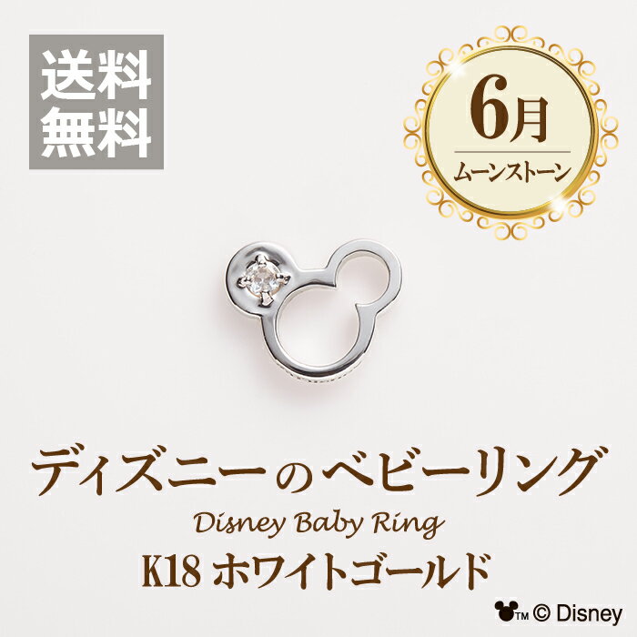 Disney(ǥˡ)6٥ӡ K18ۥ磻ȥ