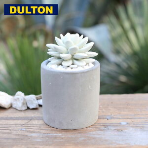 DULTON ダルトン フレグランス FRAGRANCE DIFFUSER G875-959 H6L ルームフレグランス ディフューザー 芳香剤 フルーティー サボテン おしゃれ リビング 香り メンズ レディース インテリア雑貨 雑貨