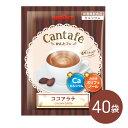 粉末飲料 ドリンク かんたフェ ココアラテ 40袋 希釈 混ぜるだけ 個包装 粉末 ココア カルシウム ポリフェノール ブルックス BROOK'S BROOKS