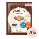 粉末飲料 ドリンク かんたフェ ココアラテ 20袋 希釈 混ぜるだけ 個包装 粉末 ココア カルシウム ポリフェノール ブルックス BROOK'S BROOKS