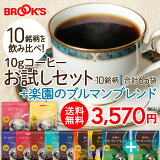 ̵ ҡ ɥåץҡ 10g å ڱΥ֥ޥ֥ 65 ɥå ɥåץѥå ɥåץХå  ۥå  ֥ޥ ֥å BROOK'S BROOKS