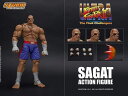 「新品 在庫」 Storm Collectibles ストリートファイターII Sagat サガット 1/12フィギュア (検バンダイ メディコム メディコス 超像革命等に)