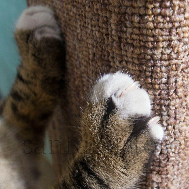 爪とぎ コーナー爪とぎボード 猫 家具保護 壁貼り付け 柱保護シート 傷防止 省スペ...