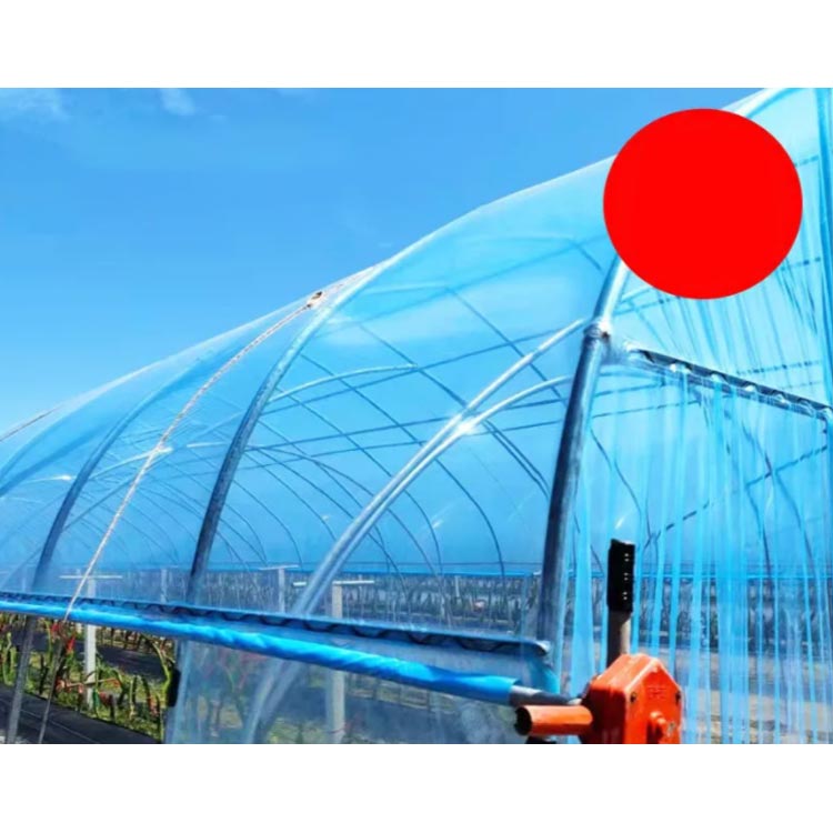 農業用ビニール ビニールハウス 厚み0.14mm 幅600cm 長さ10m 屋根用ハウスビニール...