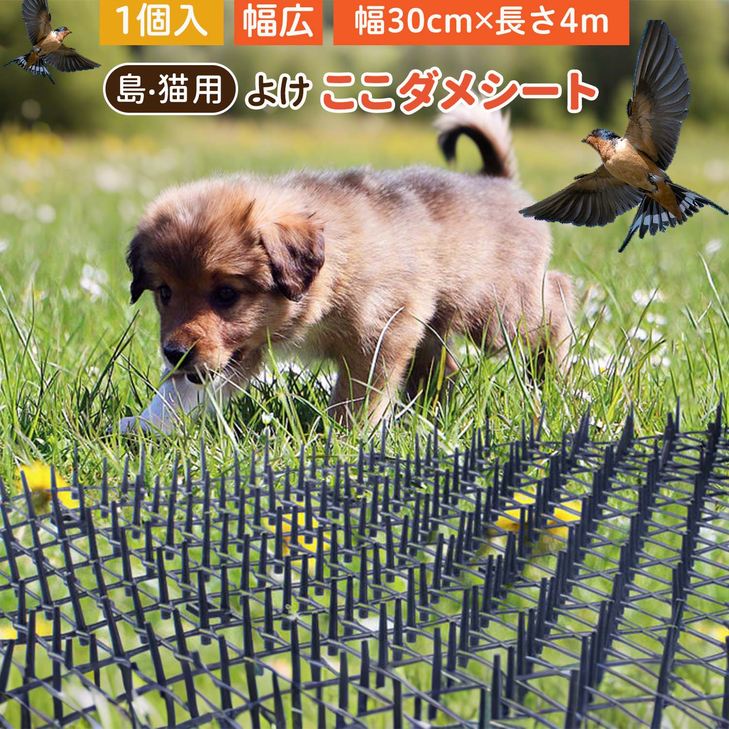 乐天商城 - 猫よけシート ネコよけシート 猫よけマット 猫侵入防止 ネコ避け 猫対策 庭用 車用 花壇 プランター ベランダ用 動物よけ 害獣対策 鳩よけ 鼠よけ ト 柔軟素材 連結可能 ペットに優しい