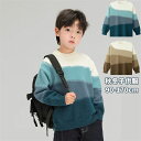 韓国子供服 ニット セーター 厚手 長袖 男の子 子供服 キッズ キッズ服 子ども服 ジュニア 幼稚園 小学生 子ども 子供 男児 防寒 長袖 着心地 厚手 あったか 日常服 普段着 通園 通学 やわらかい お出かけ 記念日 イベント 誕生日 結婚式 プ