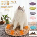 ホットカーペット 猫用 ペット用 ヒーターマット ホットマット USB給電 省エネ 10W 寒さ対策 あったか 座布団 保温パッド 犬 猫 恒温 ペット用電熱マ...